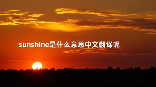 sunshine是什么意思中文翻译呢 Sunrype的音标